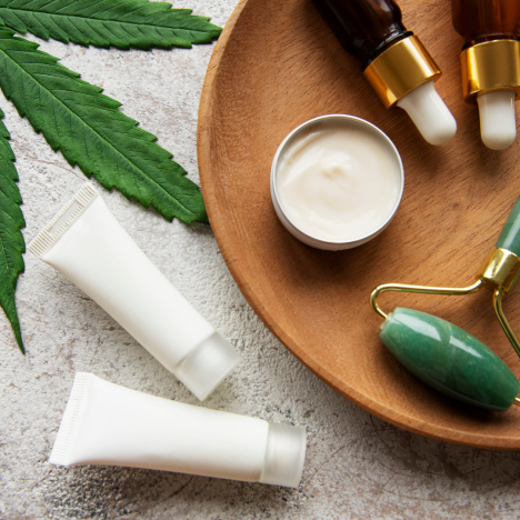 Physical Therapy through CBD Oil: Benefits & Risks